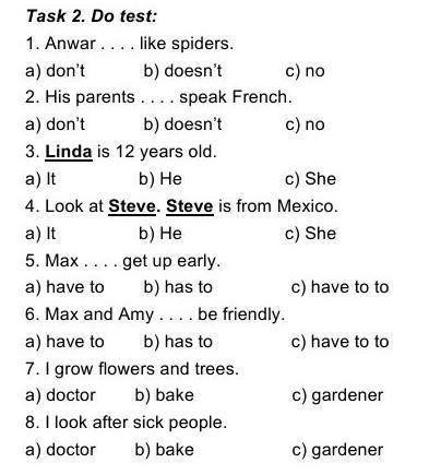 1. Anwar . . . . like spiders.a) don’t b) doesn’t c) no2. His parents . . . . speak French.a) don’t