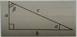 1. В прямоугольном треугольнике в=15, c=17 . По данному треугольнику найдите a, sinp, cosp, tgp, ctg