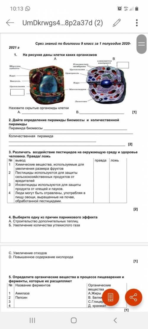 50 б даю тут про клетку 1 задания если можете то другие тоже