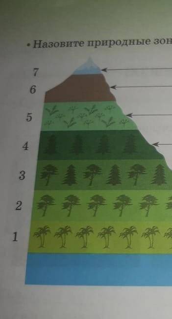 Назовите природные зоны в высотной поясности​