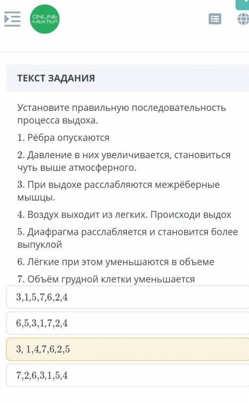 Последовательность процесса выдоха