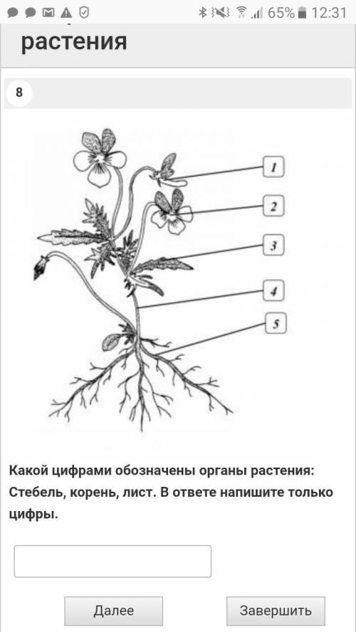 БИОЛОГИЯ 6 КЛАСС. ЗА ПРАВИЛЬНЫЙ ОТВЕТ.