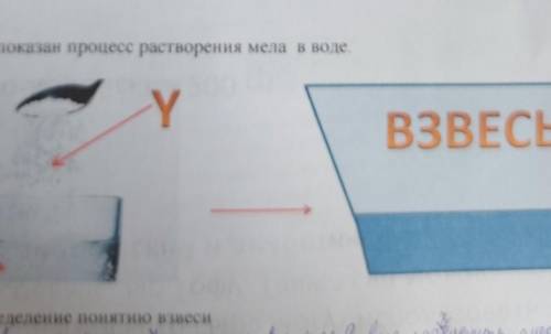 Задание 5. На рисунках показан процесс растворения мела в воде.Y-ВЗВЕСЬ(а) Дайте определение понятию