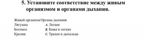 5. Установите соответствие между живым организмом и органами дыхания.