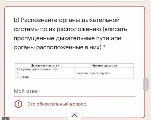 Распознайте органы дыхательной системы по их расположению (вписать пропущенные дыхательные пути или