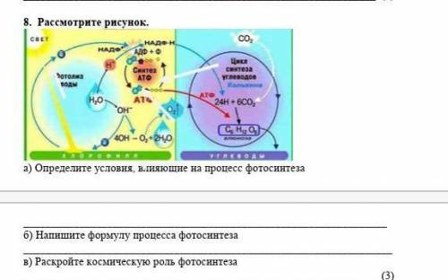 8. Рассмотрите рисунок. CBETСОRADO HНАДФАДФнсинтезотолкаводылеводовН,024H + 6СО,40H - 0,+НОа) Опред