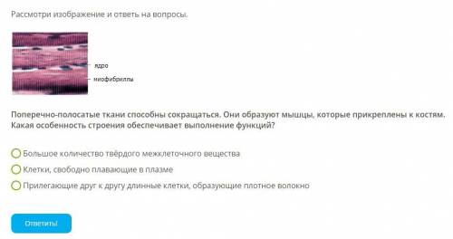 Поперечно-полосатые ткани сокращаться. Они образуют мышцы, которые прикреплены к костям. Какая особе