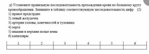 Установите правильное последоватильность прохождения крови по большому кругу кровообращения. Запишит