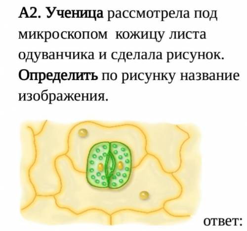 Часть А. При выполнении заданий. А1. Выбрать название процесса, характерного для всех организмов. А