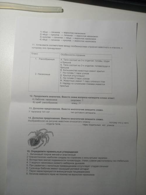 Тест по биологии. Тема членистоногие. Седьмой класс прощения за то что первая фотка развёрнута