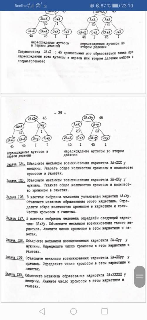 Нужно решить задачи по цитогенетике нужно расписать как в примере