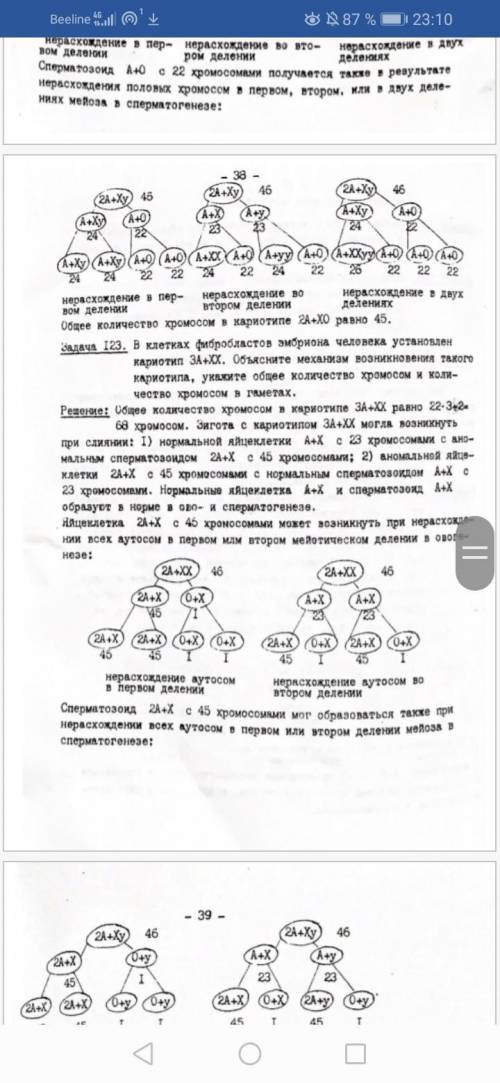 Нужно решить задачи по цитогенетике нужно расписать как в примере