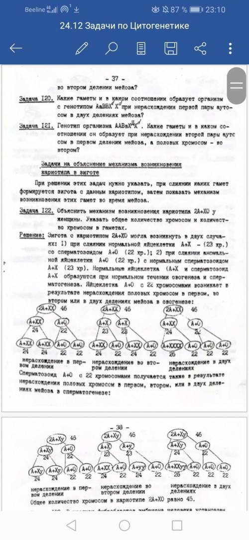 Нужно решить задачи по цитогенетике нужно расписать как в примере