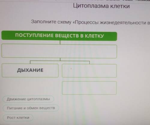 Заполните схему процессы жизни в клетке​