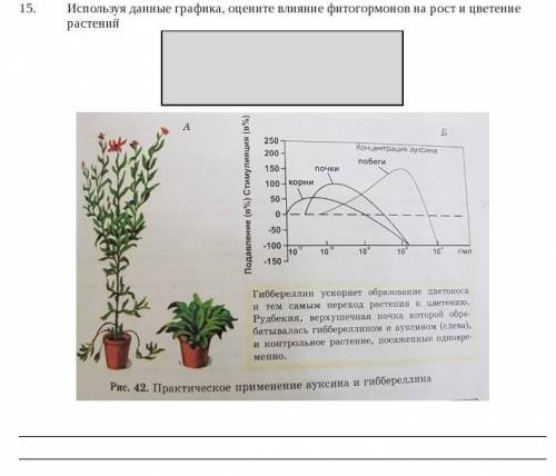 Используя данные графика, оцените влияние фитогормонов на рост и цветение растений​