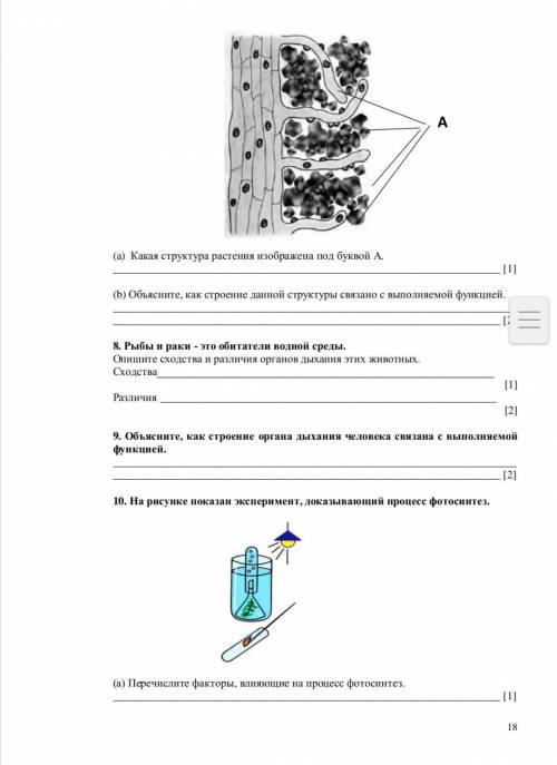 СОЧ Халявщики не пишите ответить правильно и понятно