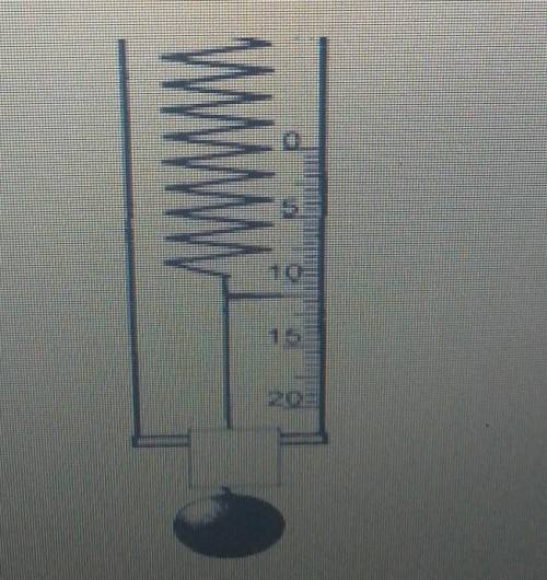 7. Первоначальная длина пружины без груза 10 см. После того, как был подвешен груз длина пружины ста