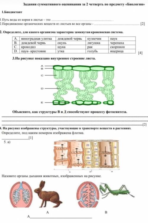 Определите, для какого организма характера замнутая провеносная система​