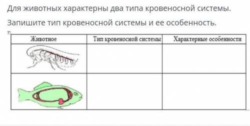 Для животных характерны два типа кровеносной системы запишите тип кровеносной системы и ее особеннос