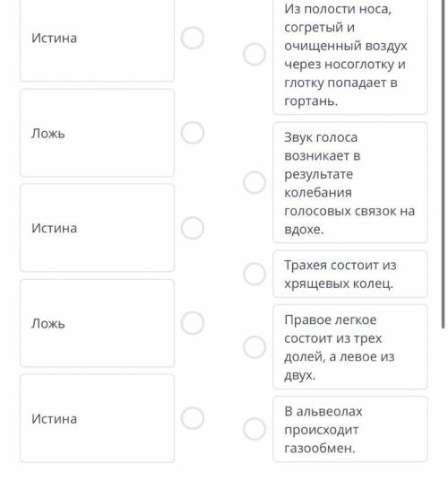 Устанави истинность/ложность утверждений Органы дыхания человека