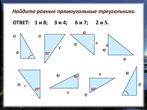 Найти равные прямоугольные треугольники и обьяснить почему они равны