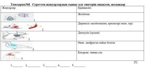 Суреттен жануарлардың тыныс алу типтерін анықтап, жазыңыз​