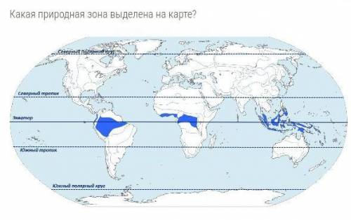 а то у меня мозги не хватают на это!​