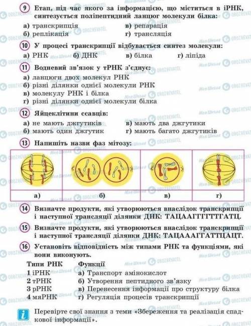 Узагальнюючі завдання до теми Збереження та та реалізація спадкової інформації тест )​