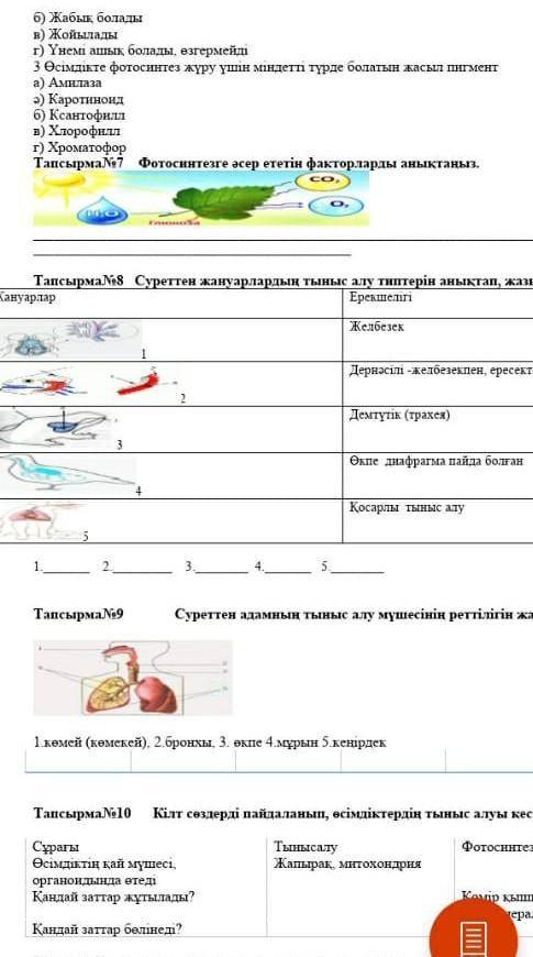 Өсімдікте фотосинтез жүру үшін міндетті түрде болатын жасыл пигмент​