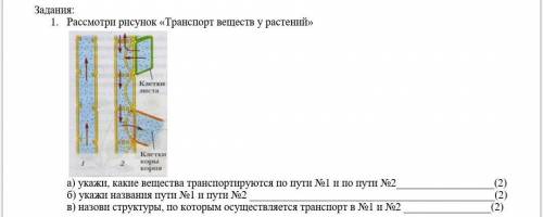 1. Рассмотри рисунок «Транспорт веществ у растений» а) укажи, какие вещества транспортируются по пут