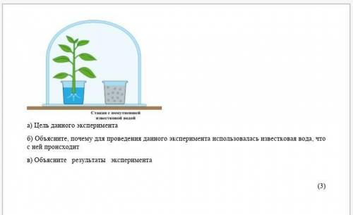 Был проведен эксперимент. а) Цель данного экспериментаб) Объясните, почему для проведения данного эк