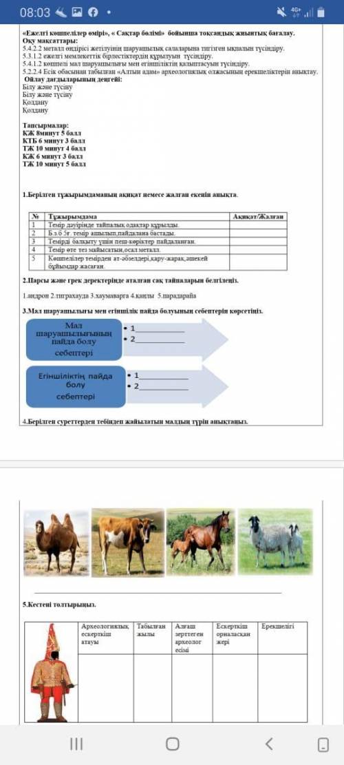 ТЖБ Тарих 2-токсан, комектесиндерши