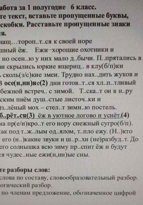 Помагите с контрольной работой по русскому языку 6 класс ​