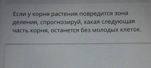 Если у корня растения повредится зона деления, спрогнозируй, какая следующаячасть корня, останется б