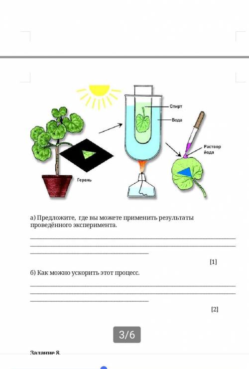 Согласно проведённого эксперимента а) Предложите, где вы можете применить результаты проведённого эк