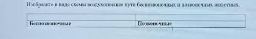 СЕЙЧАС СРОСНО Изобразите в виде схемы воздухоносные пути беспозвоночных и позвоночных животных Беспо