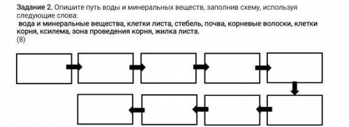 Опишите путь воды и минеральных веществ, заполнив схему, используя следующие слова: вода и минеральн