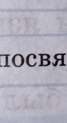 17. составьте синквейны посвящённые персонажам романа р.л.стайна.​