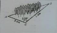 1. Найти AC. AB=10см, ∠A=45°, ∠C=120° (Рисунка нет) 2. Найти AB (Рисунок закреплён) 3. Найти площадь