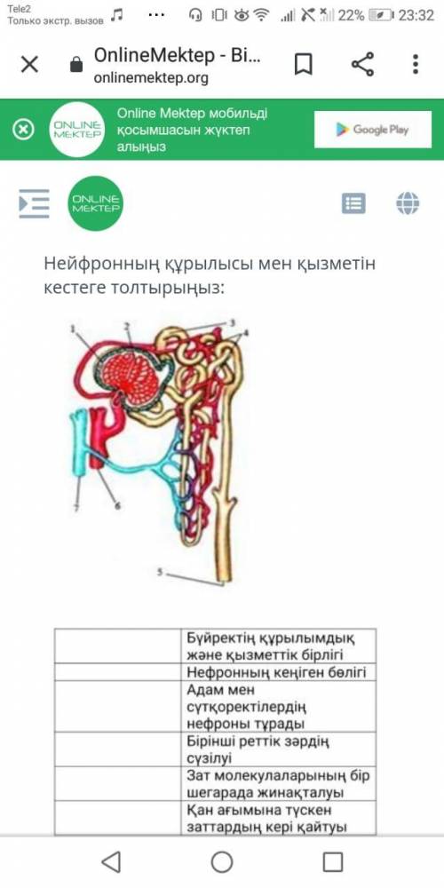 СОЧ 9 КЛАСС НА КАЗАХСКОМ БИОЛОГИЯ