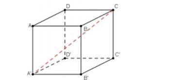 МОЖЕТЕ Если в кубе ABCDA'B'C'D 'сторона AB равна 6 см, то найдите длину диагонали A'C.