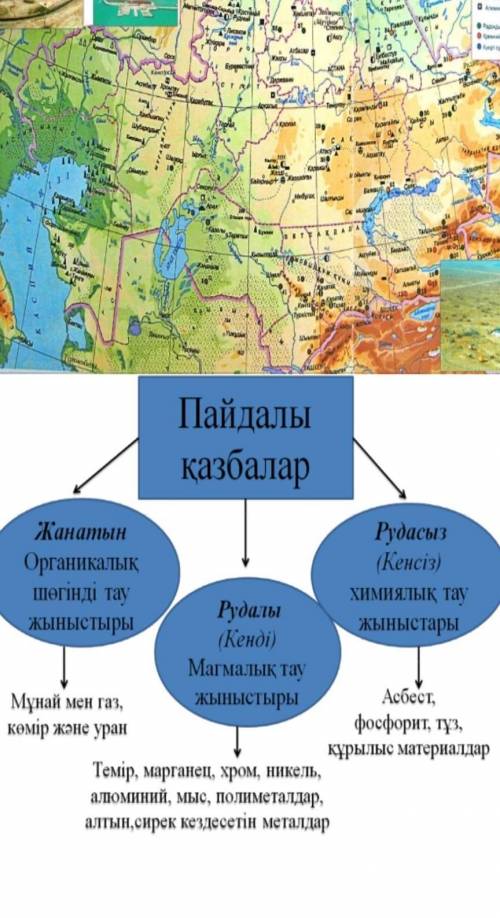 комек тжб жаратылыстану кім бледі​