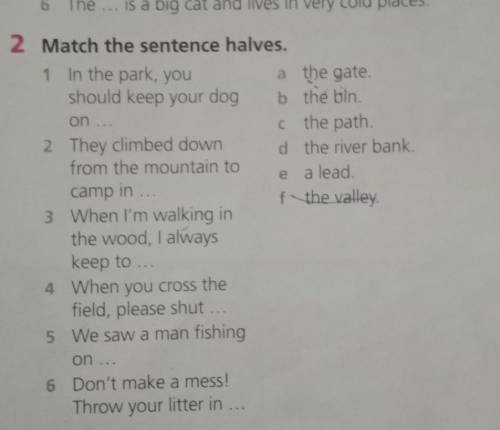 2 Match the sentence halves. 1 In the park, youa the gate.should keep your dog b the bin.on ..c the