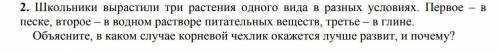 Школьники вырастили три растения одного вида в разных условиях