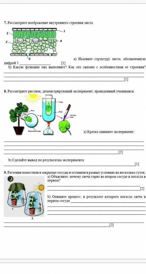 я да я знаю, что их мало, но хотя бы это