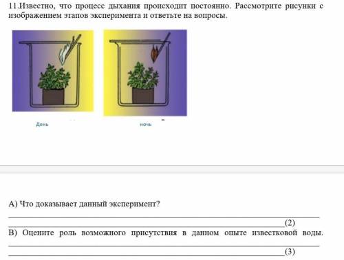 Известно, что процесс дыхания происходит постоянно. Рассмотрите рисунки с изображением этапов экспер