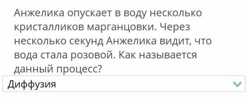 Анжелика опускает в воду несколько кристалликов марганцовки. Через несколько секунд Анжелика видит,