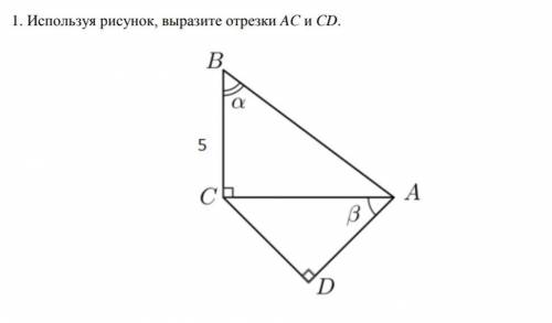 Используя рисунок, выразите отрезки AС и С раскрытый ответ. Не тот что с дескриптора. (За ответ с де