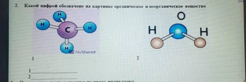 Какой цифрой обозначено на картинке органическое или неорганическое вещество​