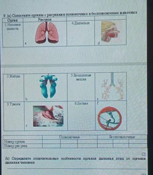 Дайте полный ответ таблицу начертите отправьте короче ответ ​